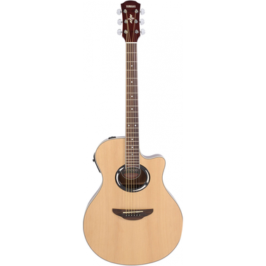 گیتار آکوستیک مدل APX500